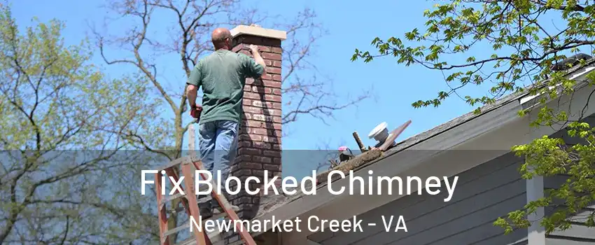 Fix Blocked Chimney Newmarket Creek - VA