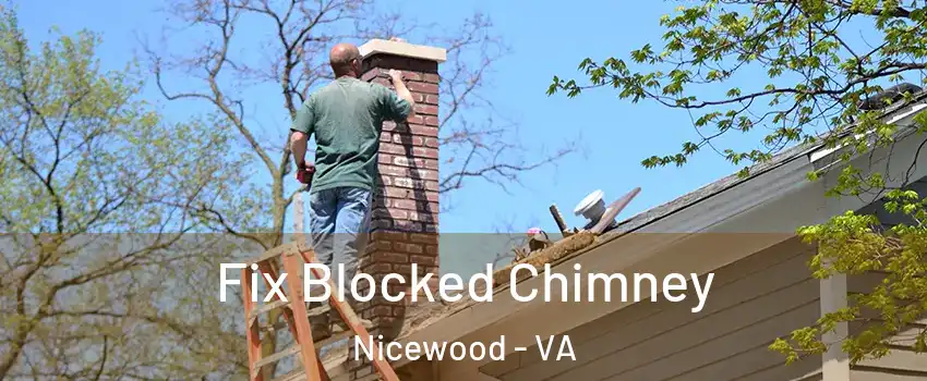 Fix Blocked Chimney Nicewood - VA