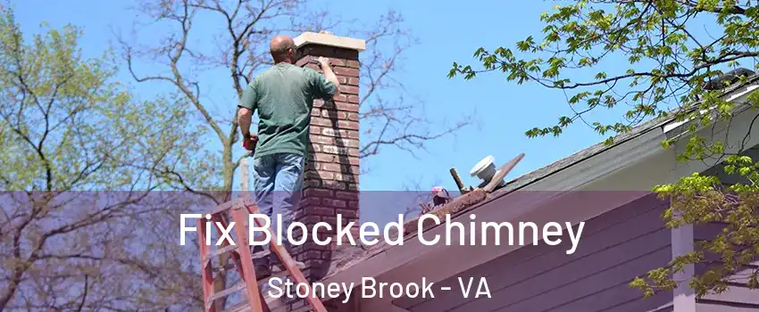 Fix Blocked Chimney Stoney Brook - VA