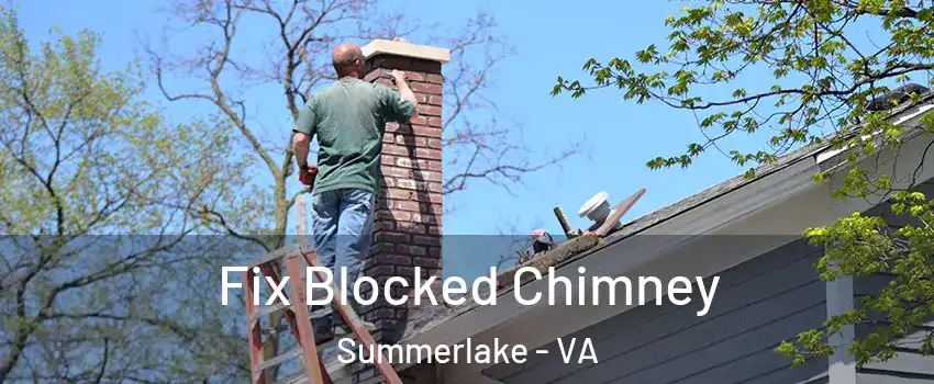 Fix Blocked Chimney Summerlake - VA
