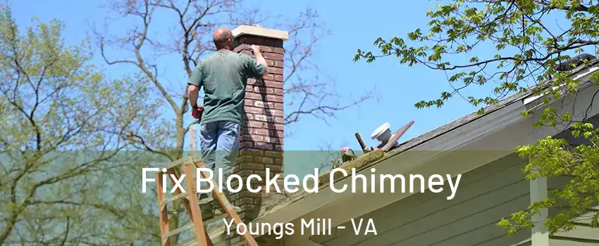 Fix Blocked Chimney Youngs Mill - VA