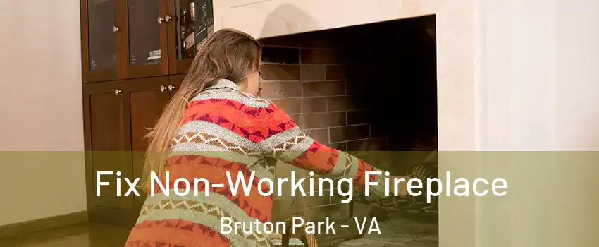 Fix Non-Working Fireplace Bruton Park - VA