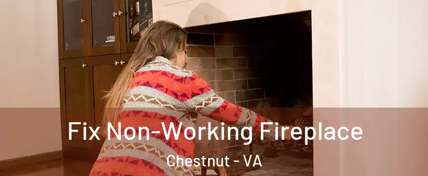 Fix Non-Working Fireplace Chestnut - VA