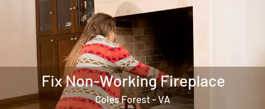 Fix Non-Working Fireplace Coles Forest - VA