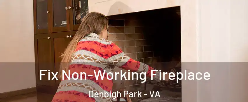 Fix Non-Working Fireplace Denbigh Park - VA