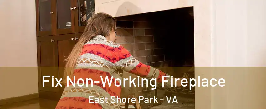 Fix Non-Working Fireplace East Shore Park - VA