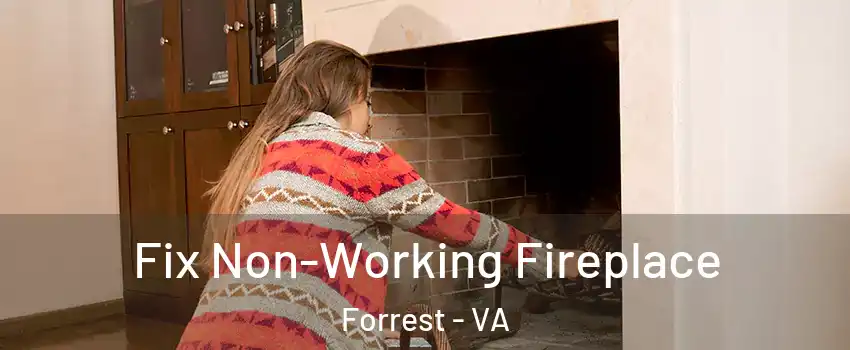 Fix Non-Working Fireplace Forrest - VA