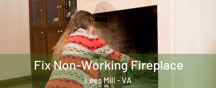 Fix Non-Working Fireplace Lees Mill - VA