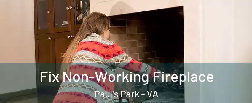 Fix Non-Working Fireplace Paul's Park - VA