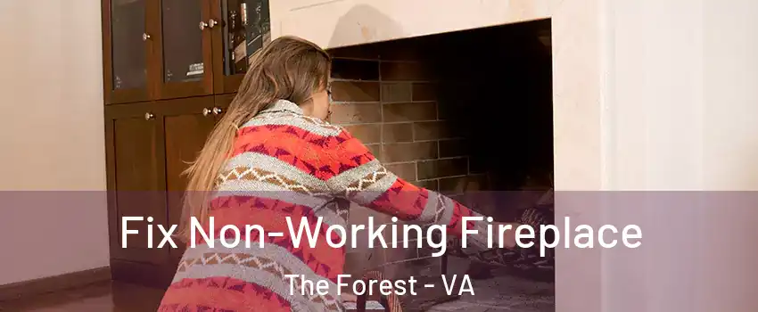 Fix Non-Working Fireplace The Forest - VA