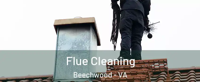Flue Cleaning Beechwood - VA
