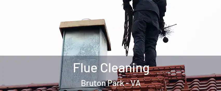 Flue Cleaning Bruton Park - VA