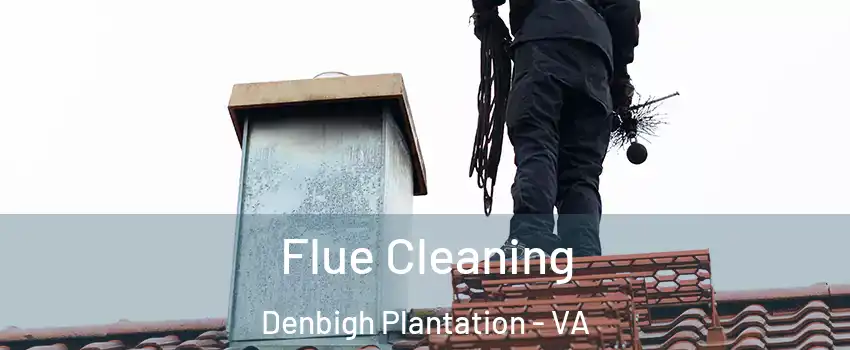 Flue Cleaning Denbigh Plantation - VA