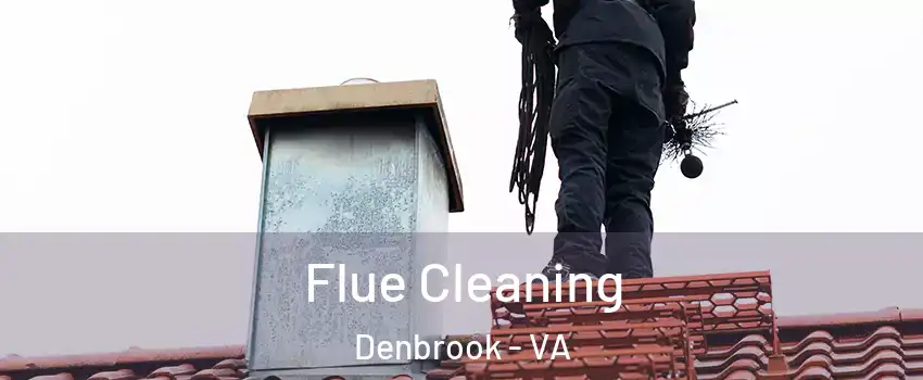 Flue Cleaning Denbrook - VA
