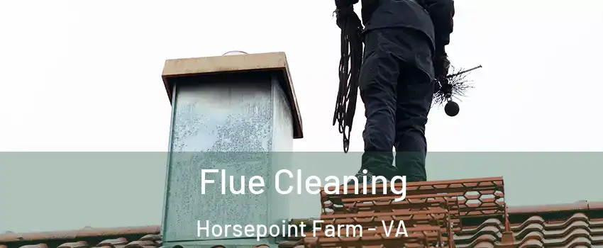 Flue Cleaning Horsepoint Farm - VA