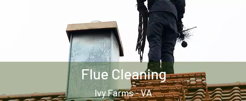Flue Cleaning Ivy Farms - VA