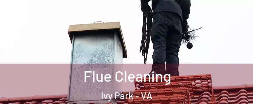 Flue Cleaning Ivy Park - VA