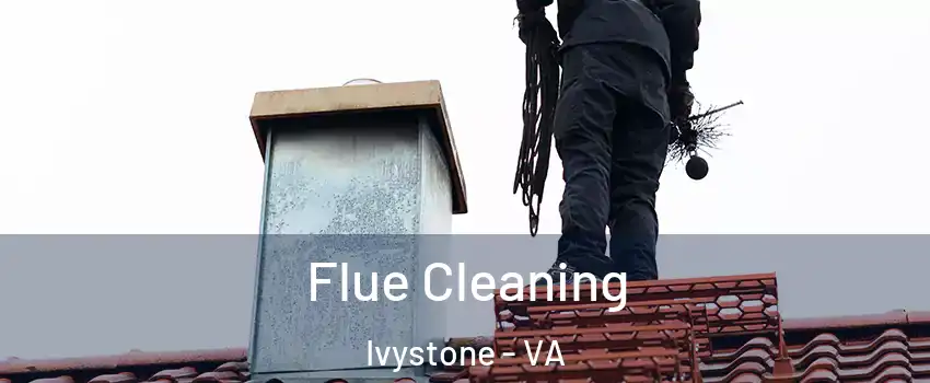 Flue Cleaning Ivystone - VA