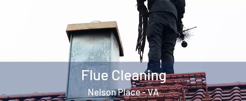 Flue Cleaning Nelson Place - VA