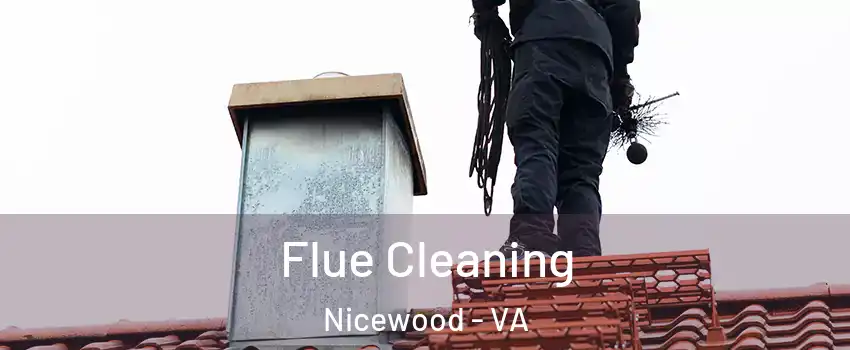 Flue Cleaning Nicewood - VA