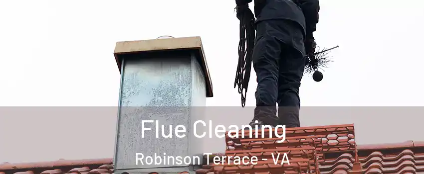 Flue Cleaning Robinson Terrace - VA