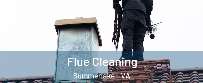 Flue Cleaning Summerlake - VA