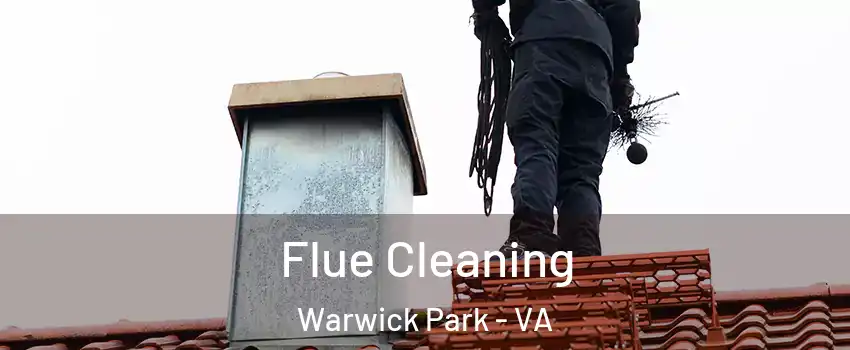 Flue Cleaning Warwick Park - VA
