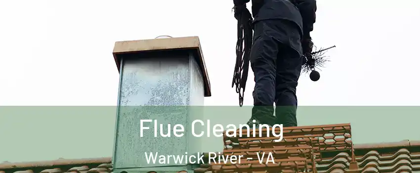 Flue Cleaning Warwick River - VA
