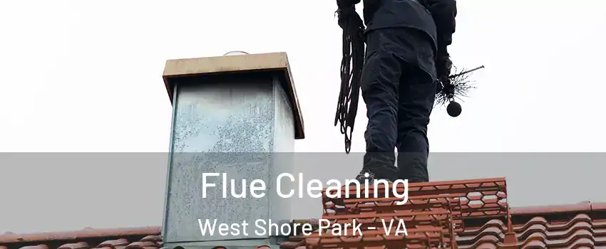 Flue Cleaning West Shore Park - VA