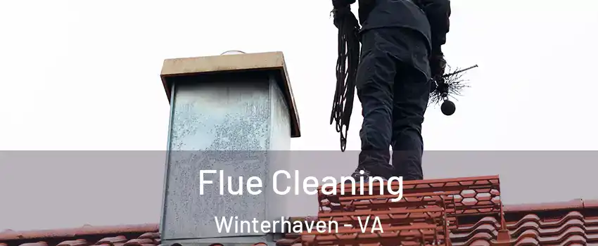 Flue Cleaning Winterhaven - VA