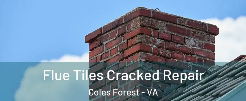 Flue Tiles Cracked Repair Coles Forest - VA
