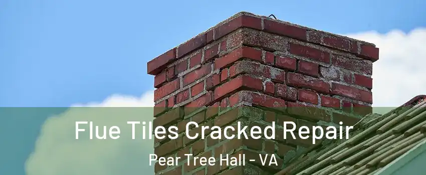 Flue Tiles Cracked Repair Pear Tree Hall - VA