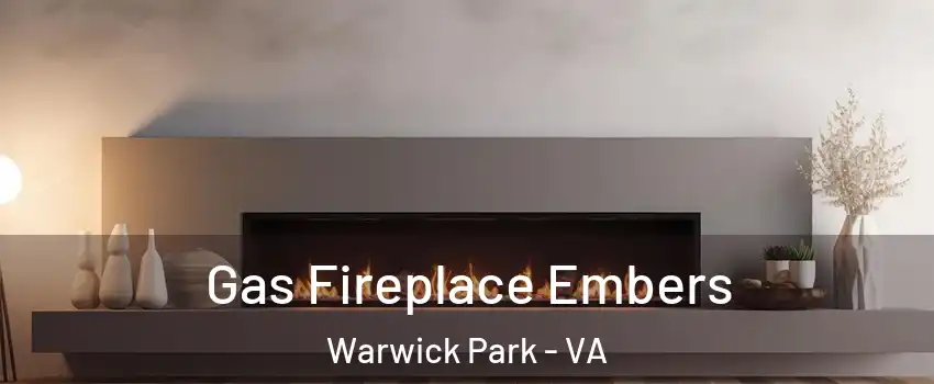 Gas Fireplace Embers Warwick Park - VA