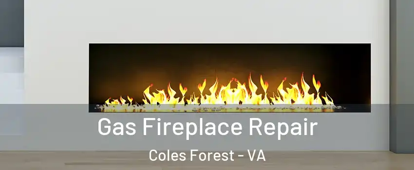 Gas Fireplace Repair Coles Forest - VA