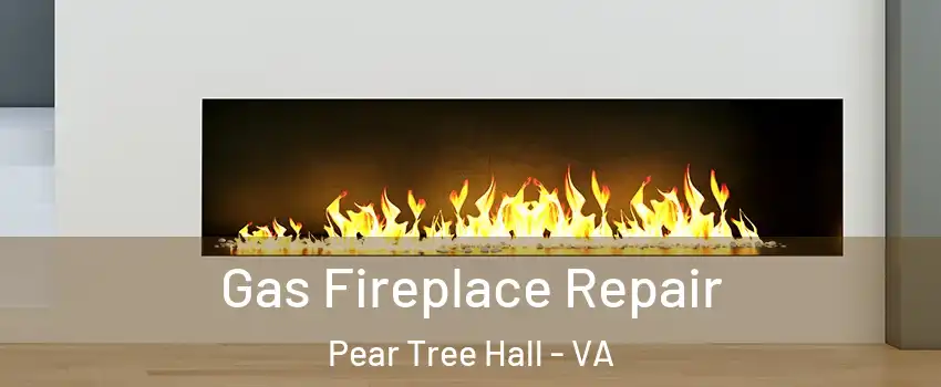 Gas Fireplace Repair Pear Tree Hall - VA