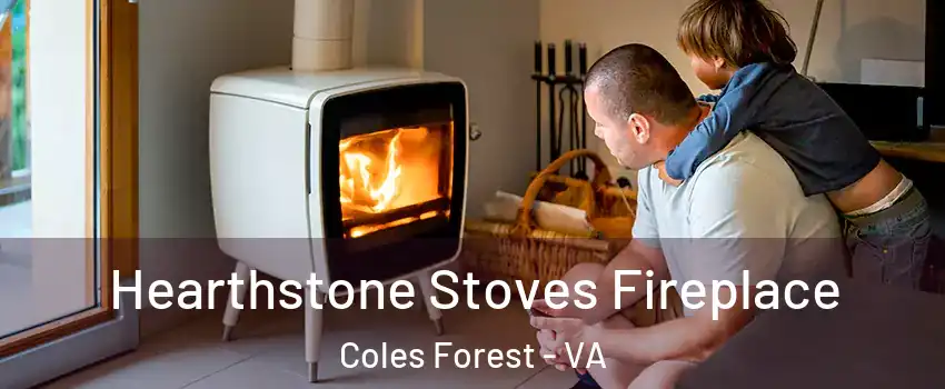 Hearthstone Stoves Fireplace Coles Forest - VA