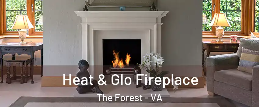 Heat & Glo Fireplace The Forest - VA