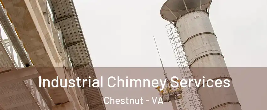 Industrial Chimney Services Chestnut - VA