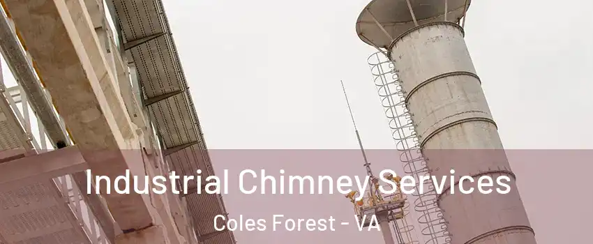 Industrial Chimney Services Coles Forest - VA