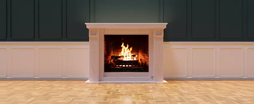 Napoleon Electric Fireplaces Inspection Service in Huntington, Virginia