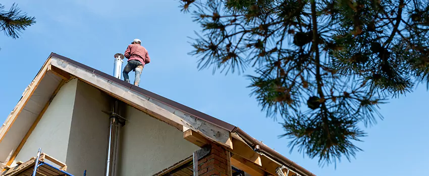 Birds Removal Contractors from Chimney in Huntington, VA