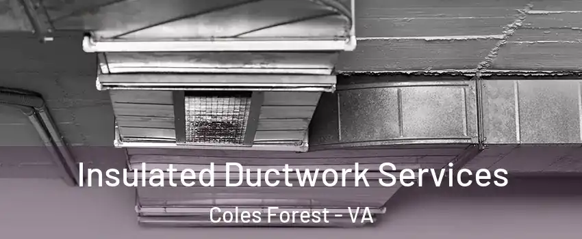 Insulated Ductwork Services Coles Forest - VA