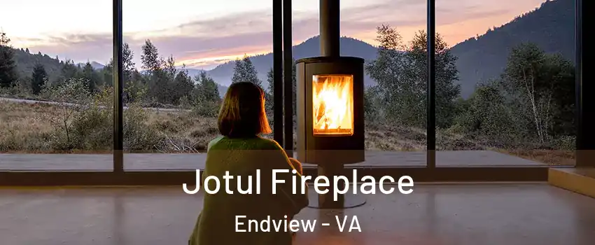 Jotul Fireplace Endview - VA