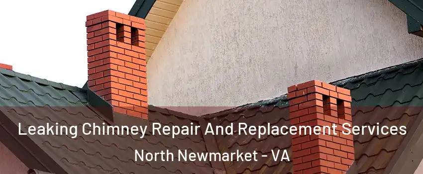 Leaking Chimney Repair And Replacement Services North Newmarket - VA