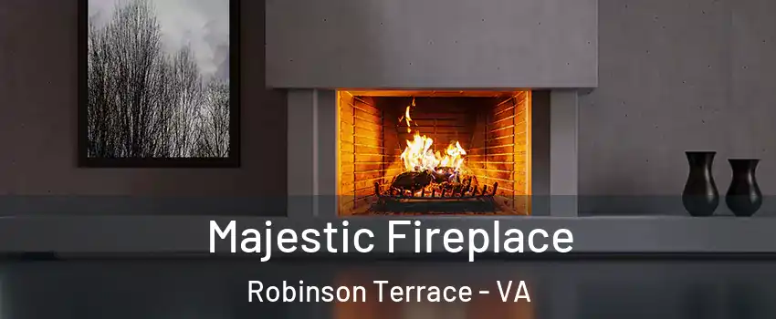 Majestic Fireplace Robinson Terrace - VA
