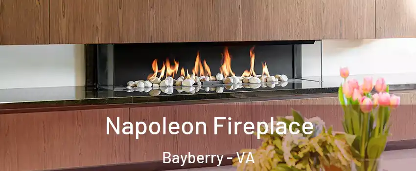 Napoleon Fireplace Bayberry - VA