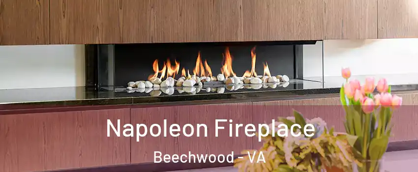 Napoleon Fireplace Beechwood - VA