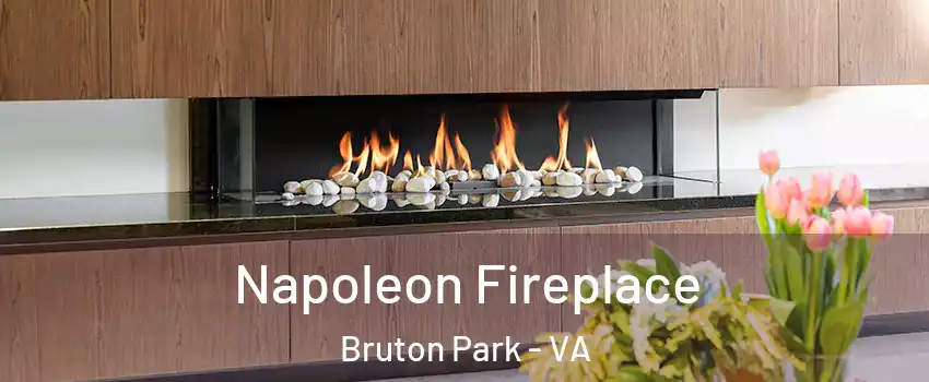 Napoleon Fireplace Bruton Park - VA