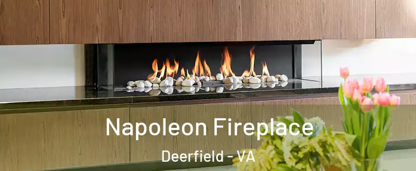 Napoleon Fireplace Deerfield - VA