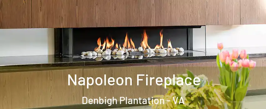 Napoleon Fireplace Denbigh Plantation - VA